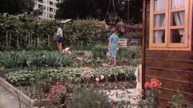 Jardins familiaux en 1984. [RTS]