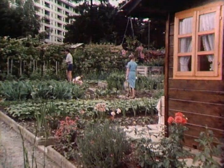 Jardins familiaux en 1984. [RTS]