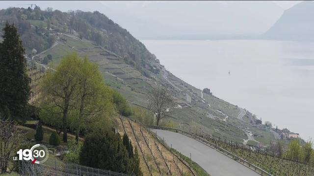 Sur la corniche de Lavaux, les incivilités des promeneurs provoquent la grogne des vignerons.