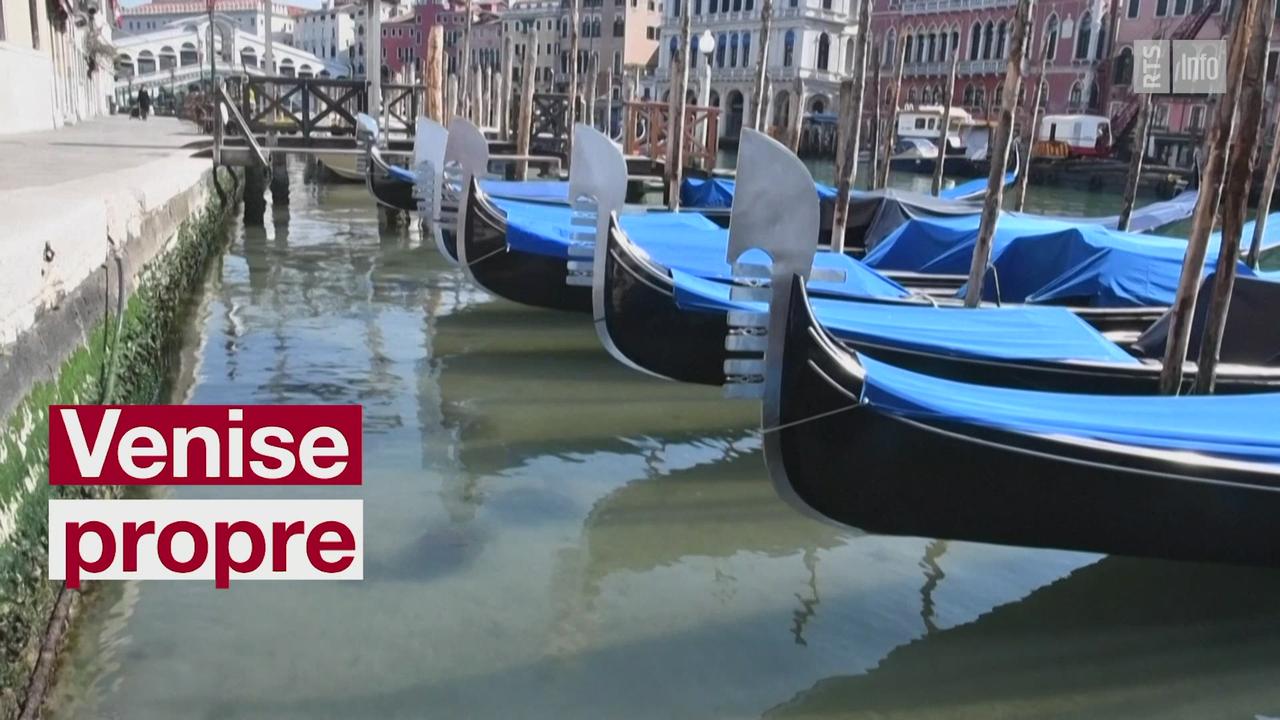 A Venise, les canaux sont limpides