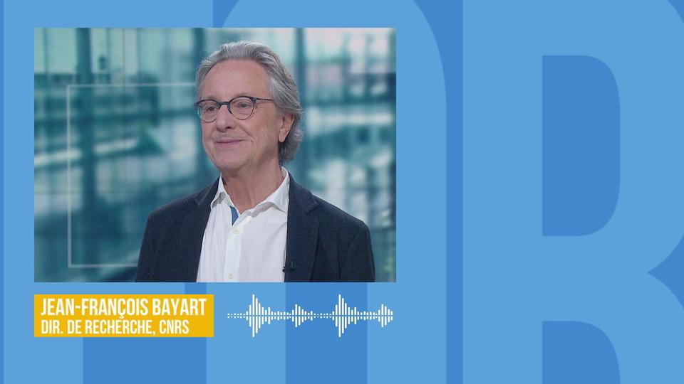 Les contestations du Mali et de la Côte d'Ivoire vont-elles se propager en Afrique de l'Ouest? Interview de Jean-François Bayart