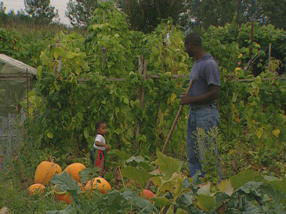 Jardins multiculturels [RTS]