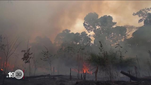 En Australie, les feux gigantesques font augmenter massivement les émissions de CO2 dans la région