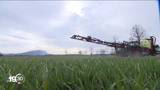 Deux initiatives populaires réclament la suppression des pesticides. -Le Conseil des Etats plaide pour limiter leur risque