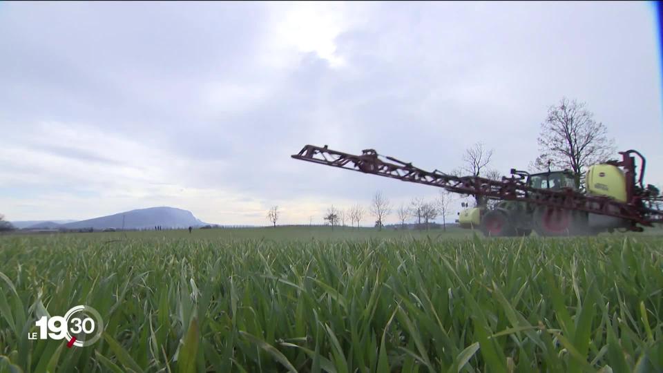 Deux initiatives populaires réclament la suppression des pesticides. -Le Conseil des Etats plaide pour limiter leur risque