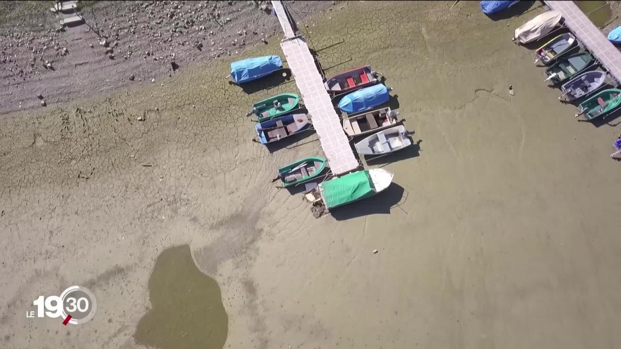 Les lacs et cours d'eau de l'arc jurassien paient un lourd tribu à la sécheresse