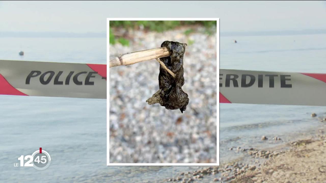 Fermeture préventive de plages du littoral neuchâtelois suite à des suspicions de contamination par des cyanobactéries