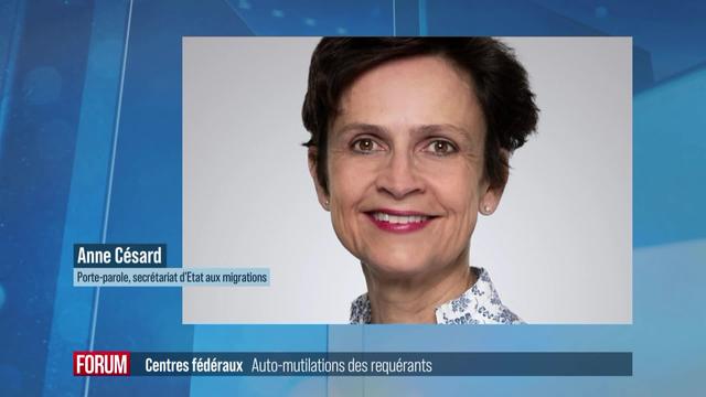 Tentatives de suicide et automutilations se multiplient dans les centres fédéraux d’asile