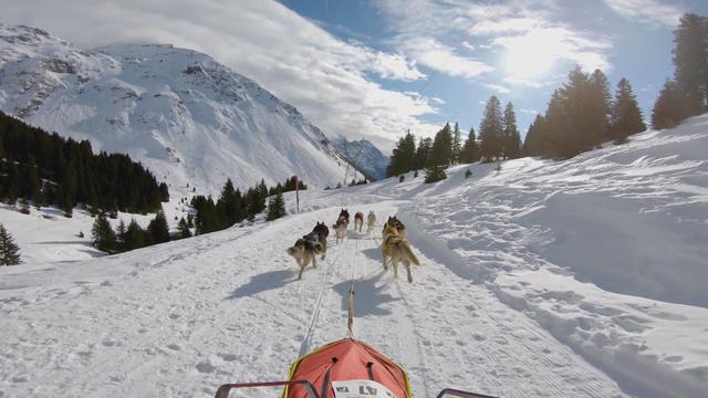 Stations de ski en quête d'avenir