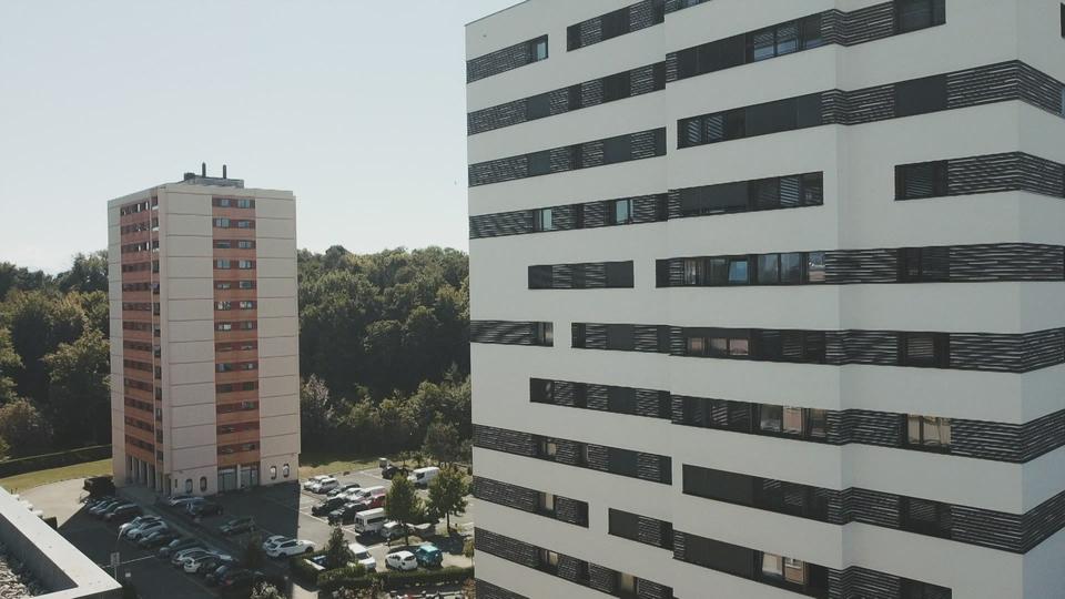 Dans la jungle du marché de la location