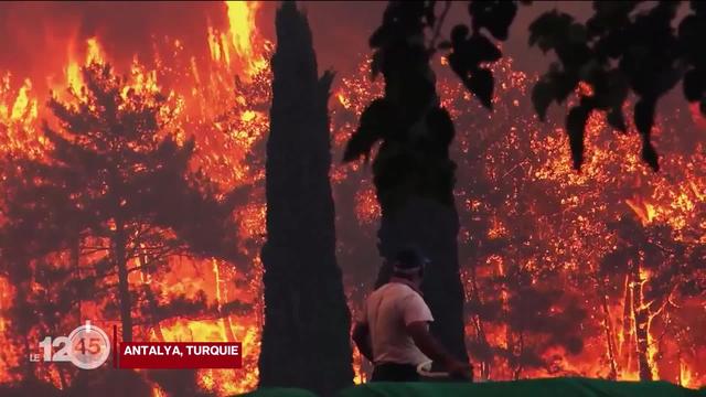 La province d'Antalya, en Turquie, est la proie des flammes. Les touristes s'inquiètent