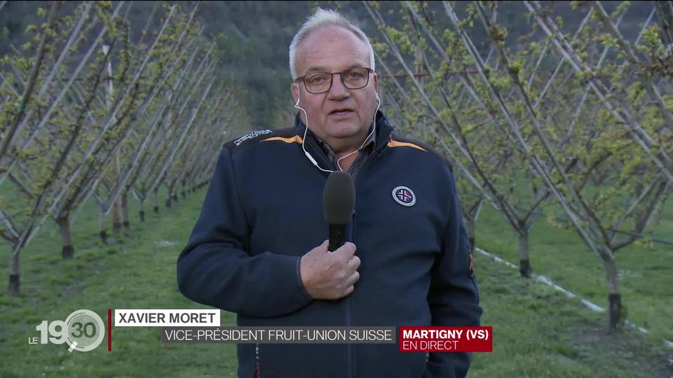 Les précisions de Xavier Moret, arboriculteur.