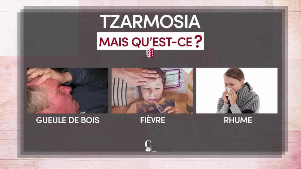 Tzarmozia: ce mot de patois d'Ayent (VS) est totalement d'actualité