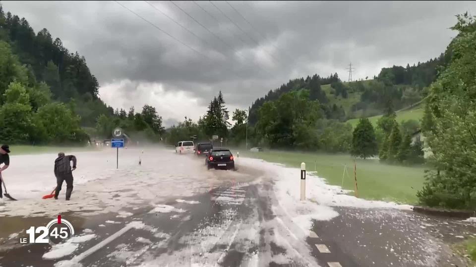 Le week-end s'est terminé avec de violents orages en Suisse. Le canton de Fribourg a particulièrement  été touché.