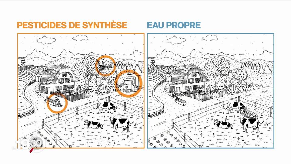 Page spéciale votations: débat sur les deux initiatives dites anti-pesticides (1-3)