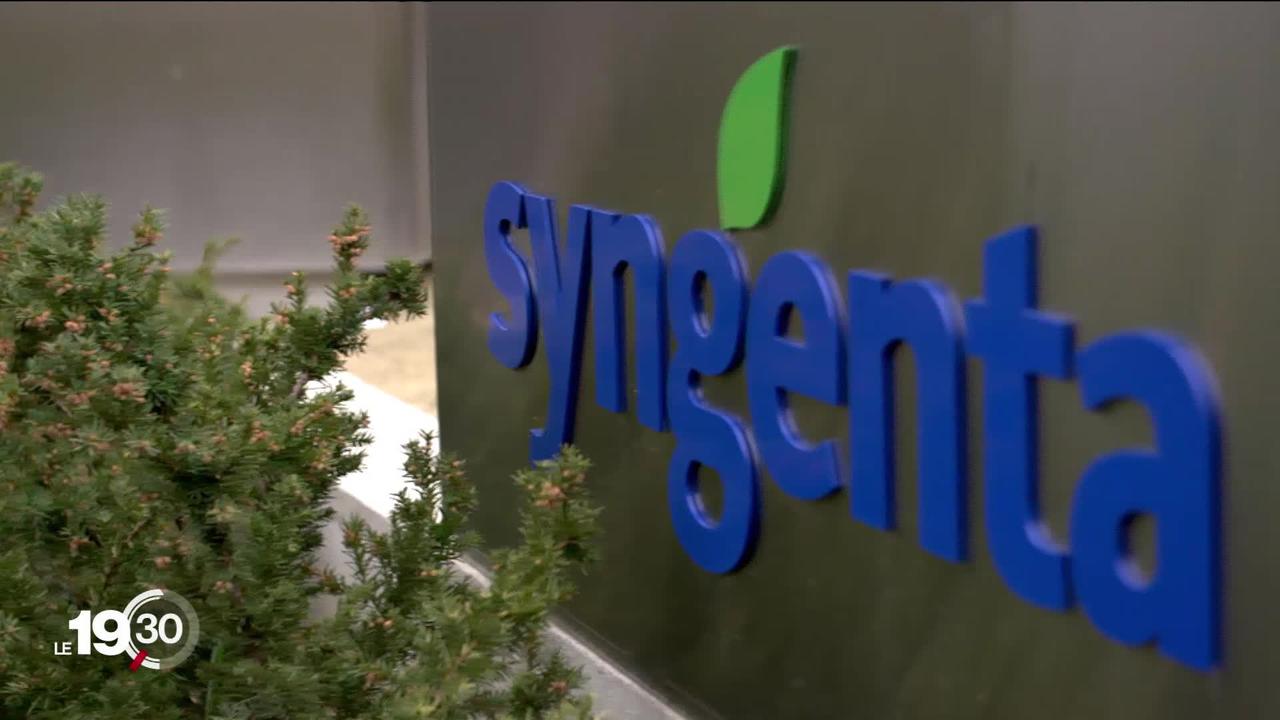 Un ex-employé de Syngenta lance de graves accusations contre l'entreprise à propos d'un herbicide mortel.
