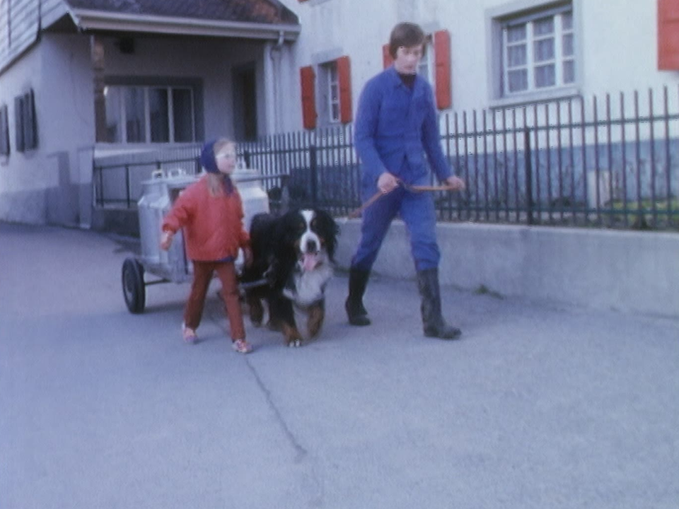 Chien de ferme en 1975. [RTS]