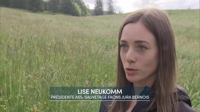 Entretien avec Lise Neukomm, présidente de l'association sauvetage faons Jura bernois