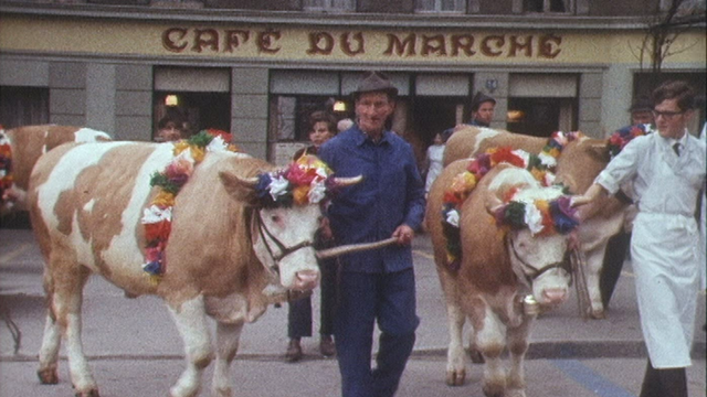 Cortège des boeufs de Pâques à Moudon [RTS]