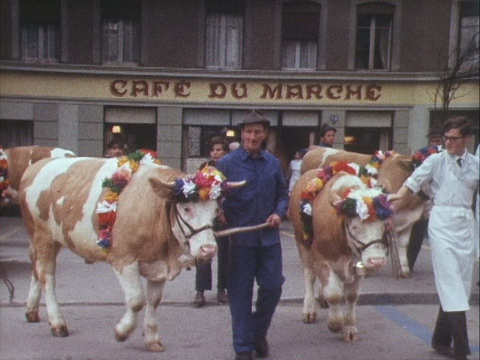 Cortège des boeufs de Pâques à Moudon [RTS]