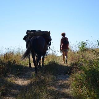 Manisha sur la route avec un de ses chevaux. [DR - Facebook Mani Sha]