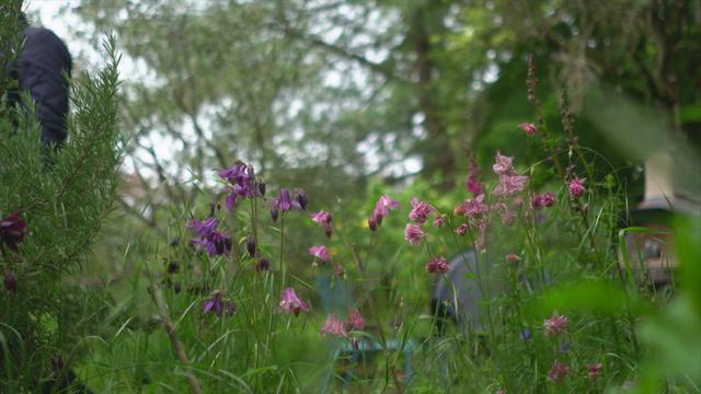 Cultiver son jardin sans pesticides