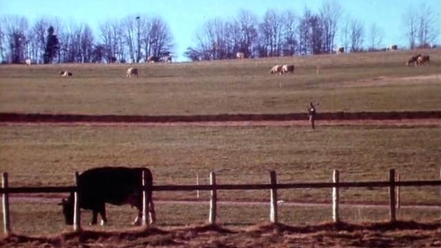 Un automne radieux dans les Franches-Montagnes [RTS]