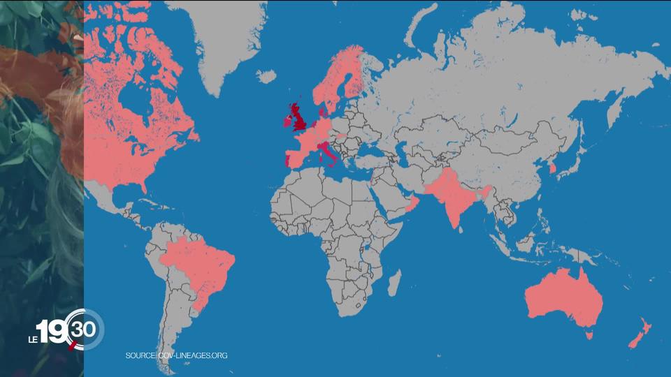 La Suisse redoute une explosion du nombre de cas de la variante anglaise du virus. Un variant beaucoup plus contagieux