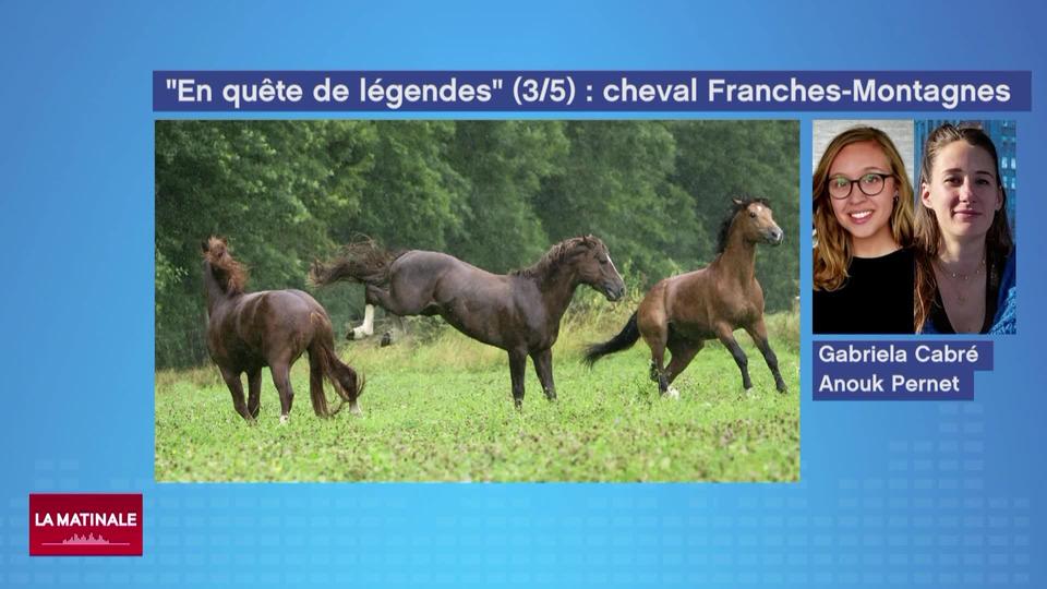 En quête de légendes (3-5): les chevaux des Franches-Montagnes (vidéo)