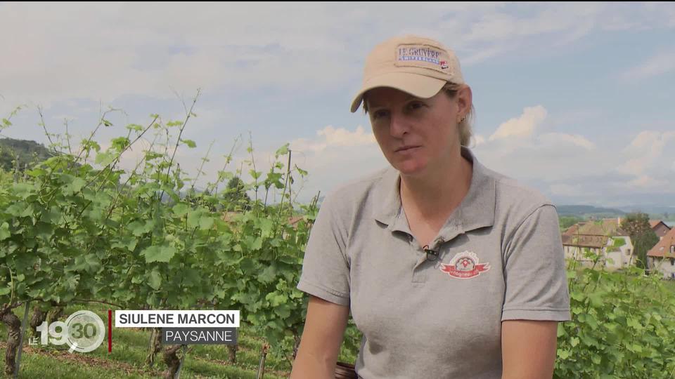 Série "Femmes de terre": Portrait d'une paysanne de cœur dans une exploitation viticole