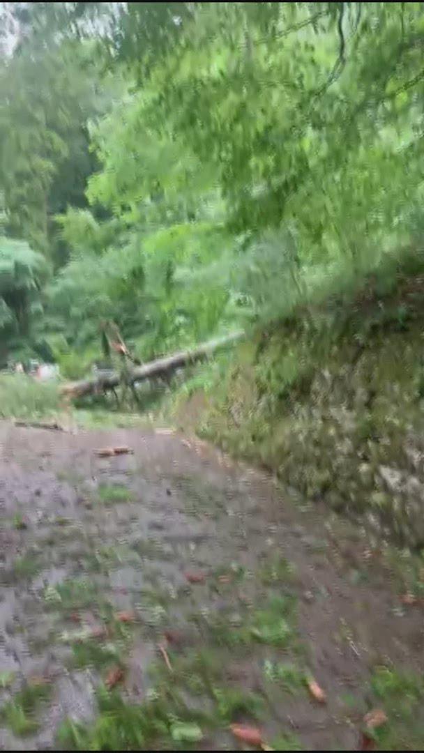 Route coupée dans les gorges de la Jogne (FR)