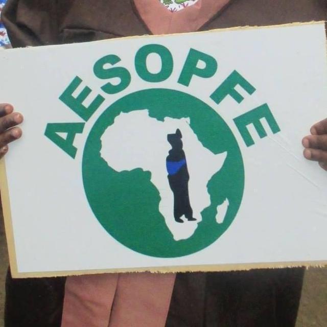L'association AESOPFE est active au Cameroun dans les domaines de l’éducation,de la santé et de la promotion de la femme [aesopfe.ch]