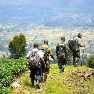 Gardiens dans le Parc des Volcans du massif Virunga, au nord du Rwanda [RTS - Cerise Maréchaud]