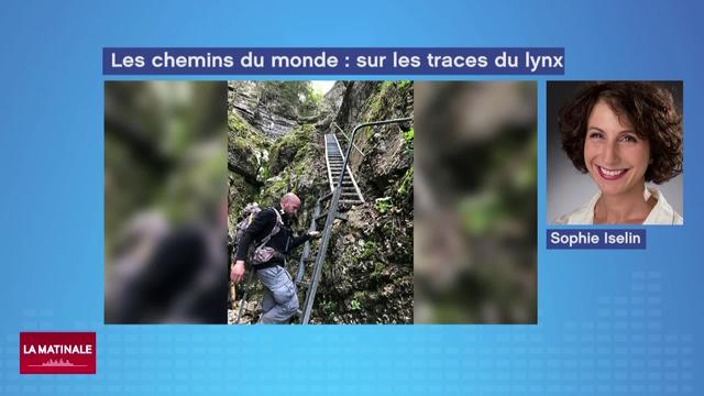 Sur les chemins du monde (3-20): Sur les traces du Lynx (vidéo)