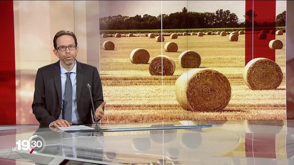 Quatre portraits de femmes paysannes, quatre choix de vie différents. Présentation de la nouvelle série "Femmes de terre" avec Laurent Dufour