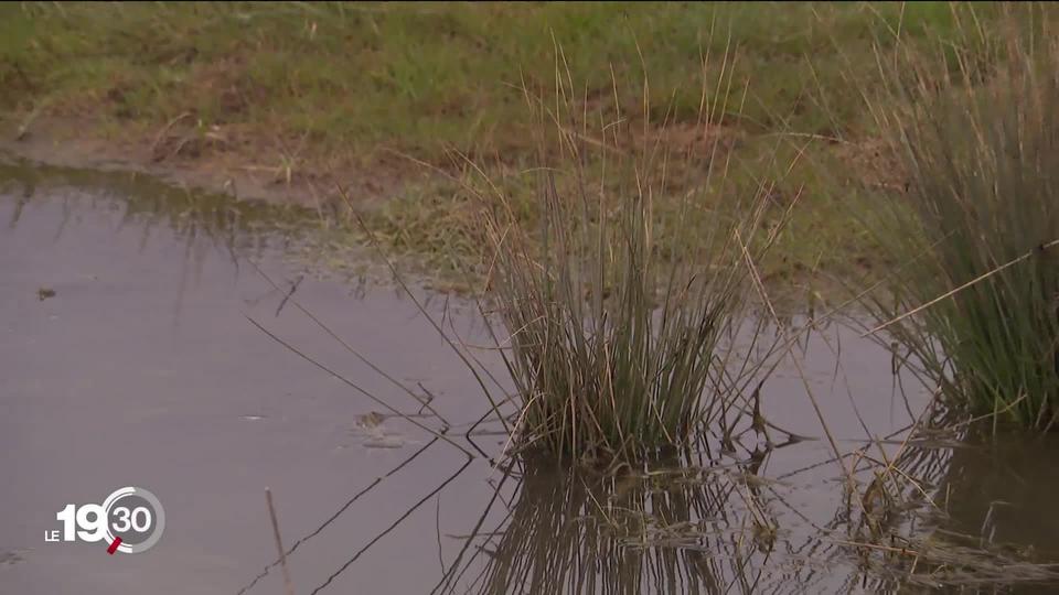 L'initiative pour une eau potable propre a été lancée lundi à Berne.