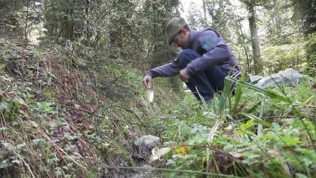 Découvrir les plantes comestibles et médicinales.