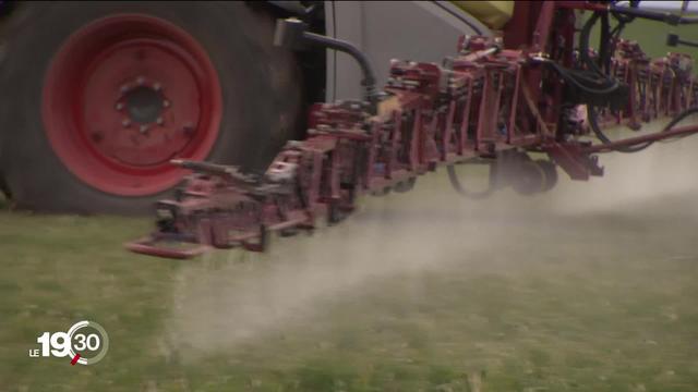 La campagne conte les pesticides de synthèse est lancée