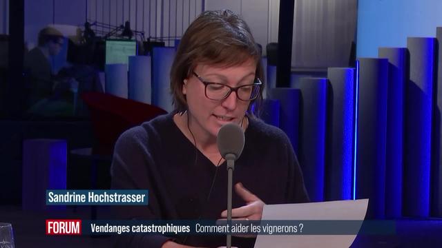 La branche des vignerons cherche de l'aide pour pallier la maigre récolte 2021