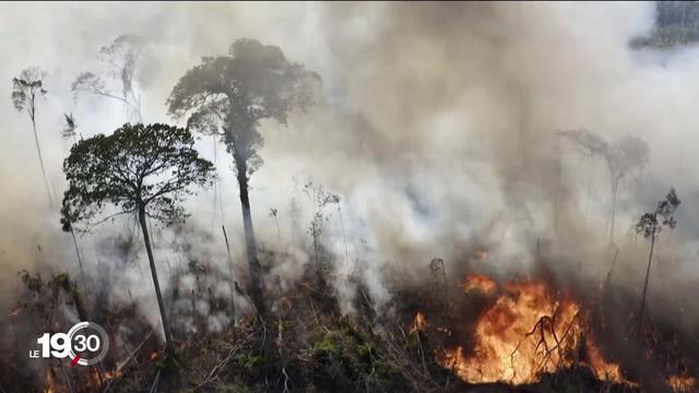 COP26: Une centaine de pays se sont mis d’accord pour mettre fin à la déforestation d’ici 2030. Un front essentiel pour limiter le réchauffement climatique