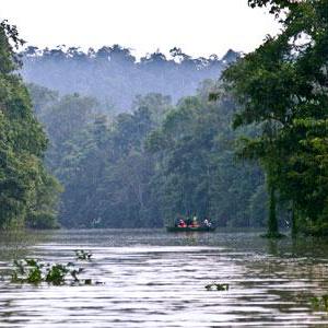 Sur le fleuve Kinabatangan à Bornéo [RTS - Marion Touboul]