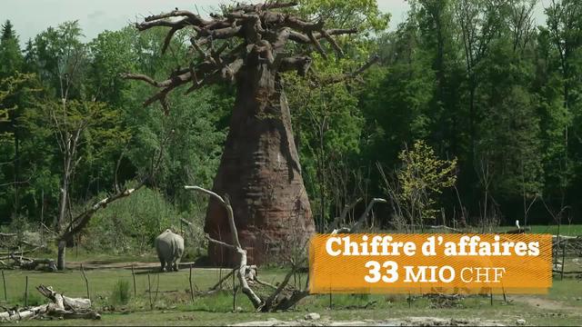 Le zoo de Zurich a recréé une savane africaine, en partenariat étroit avec le Kenya