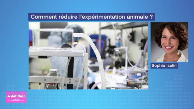 Evolution de l’expérimentation animale dans la recherche en Suisse (vidéo)
