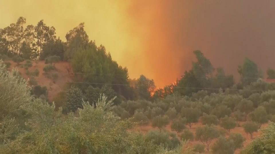 Incendies Grece