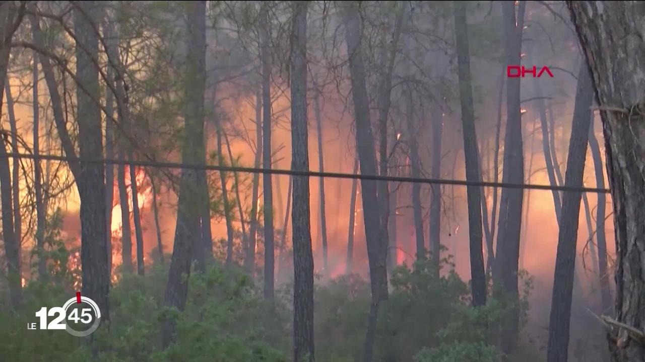 Dans le sud de la Turquie, les pompiers continuent de lutter contre les feux de forêt qui ont déjà fait 6 morts
