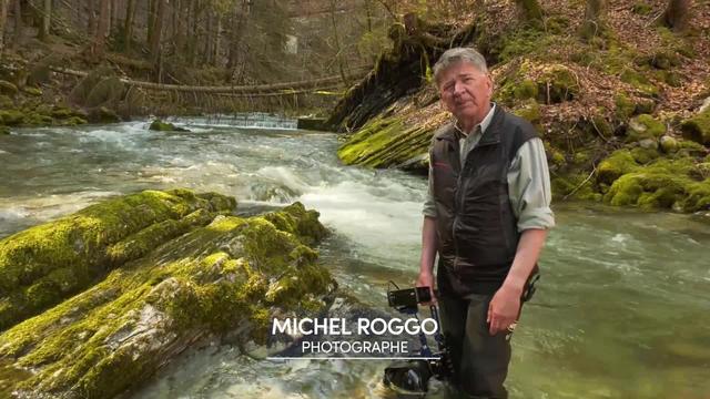 Michel Roggo, le photographe fribourgeois qui révèle la beauté sous la surface de l'eau