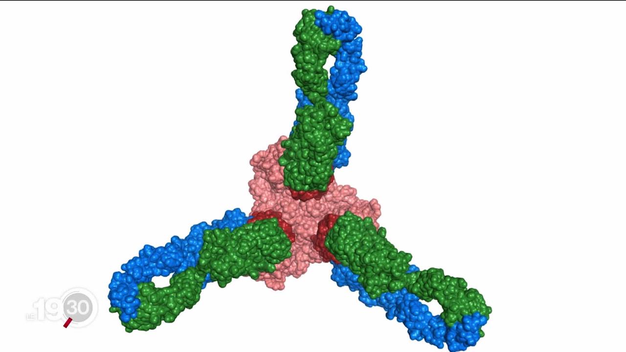 Un institut tessinois teste actuellement une molécule à base d'anticorps pour traiter le Covid-19.