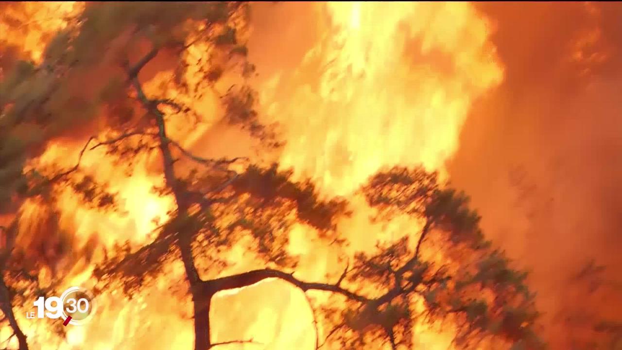 Les incendies font rage dans le sud de l'Europe et suscitent des évacuations