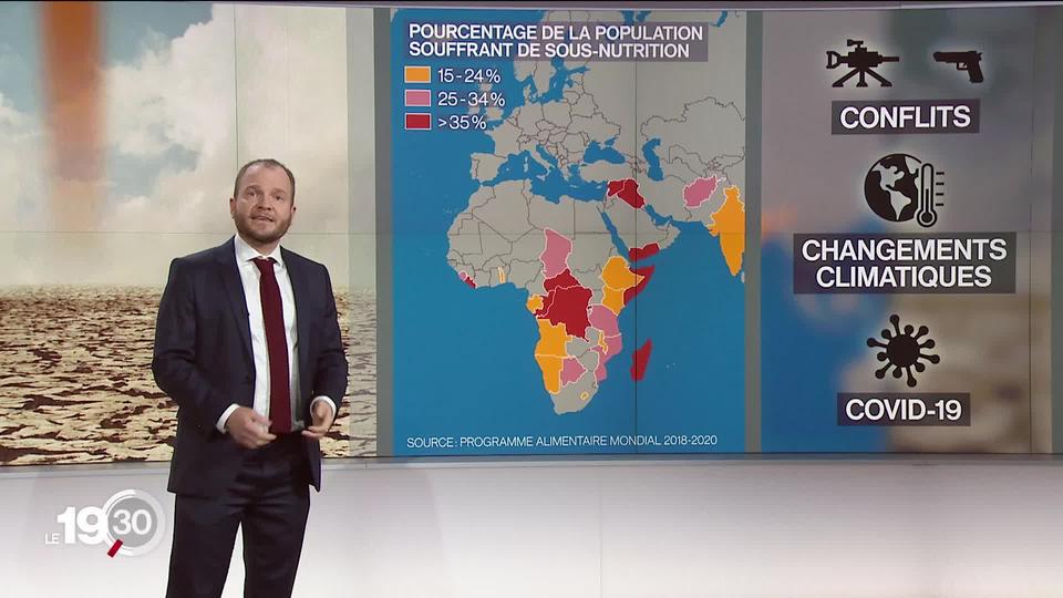 Famine dans le monde: la didactique de Tristan Dessert