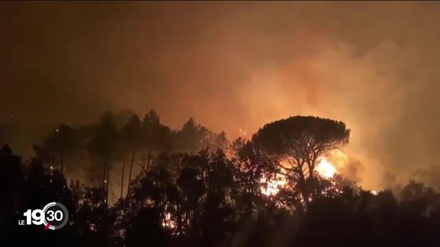 Des milliers de touristes ont dû être évacués suite à des incendies dans le Var